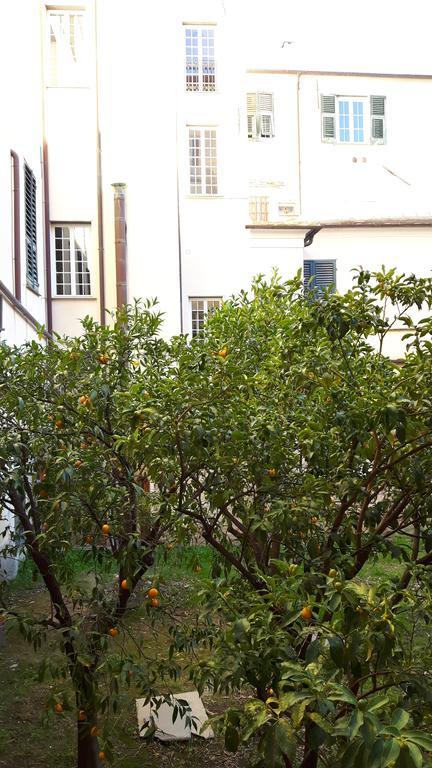 Torre Cepollini Hotel Албенга Екстериор снимка